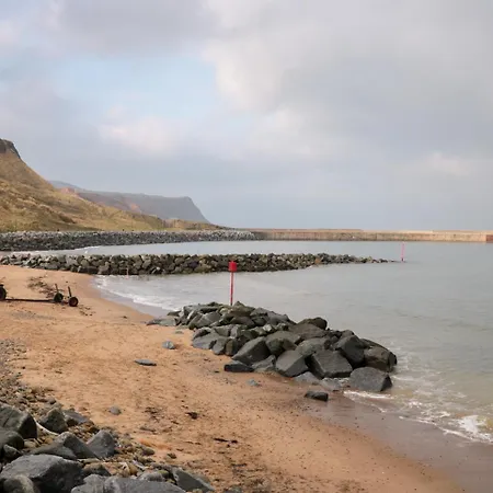 Lady Bird Retreat 펜션